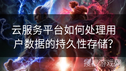 云服务平台如何处理用户数据的持久性存储？