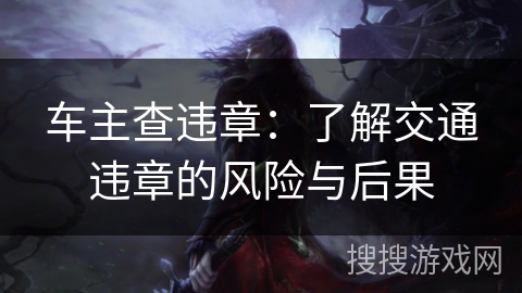 车主查违章：了解交通违章的风险与后果
