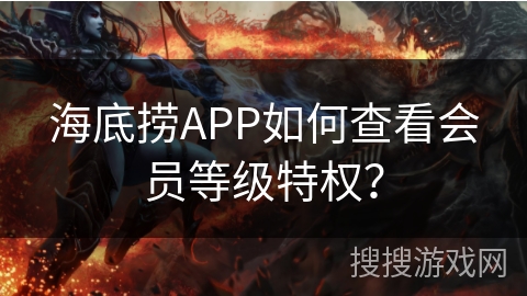 海底捞APP如何查看会员等级特权？