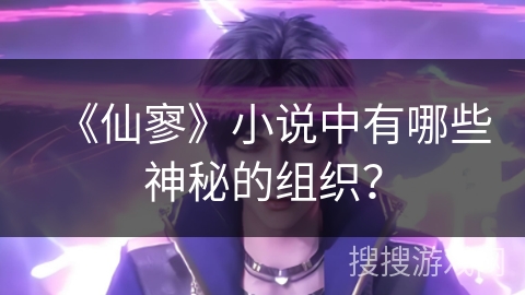 《仙寥》小说中有哪些神秘的组织？