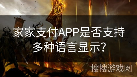 家家支付APP是否支持多种语言显示？