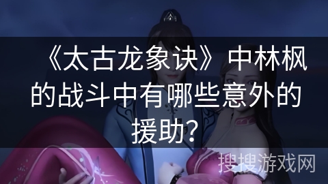 《太古龙象诀》中林枫的战斗中有哪些意外的援助？