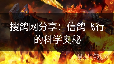 搜鸽网分享：信鸽飞行的科学奥秘