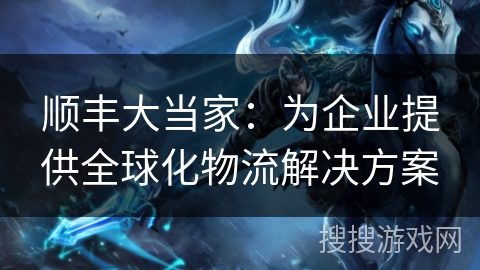 顺丰大当家：为企业提供全球化物流解决方案