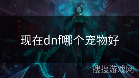 现在dnf哪个宠物好 现在dnf哪个宠物好