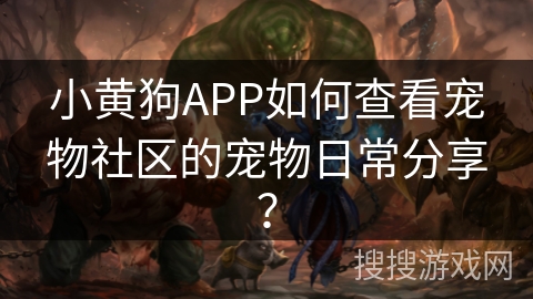 小黄狗APP如何查看宠物社区的宠物日常分享？
