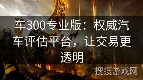 车300专业版：权威汽车评估平台，让交易更透明