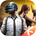 和平精英先锋服2024最新版