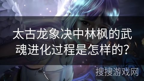 太古龙象决中林枫的武魂进化过程是怎样的？