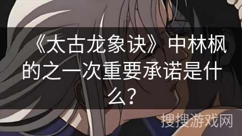 《太古龙象诀》中林枫的之一次重要承诺是什么？