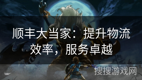 顺丰大当家：提升物流效率，服务卓越