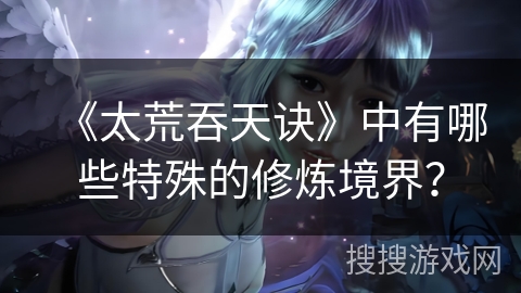 《太荒吞天诀》中有哪些特殊的修炼境界？