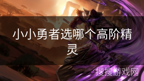 小小勇者选哪个高阶精灵