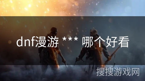 dnf漫游 *** 哪个好看