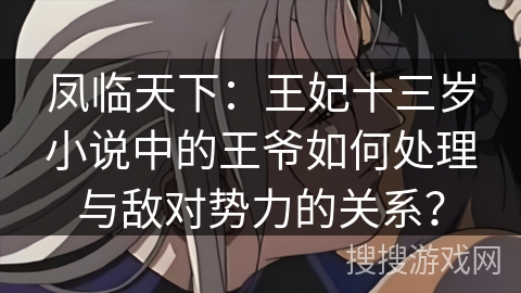 凤临天下：王妃十三岁小说中的王爷如何处理与敌对势力的关系？