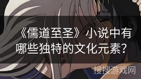 《儒道至圣》小说中有哪些独特的文化元素？