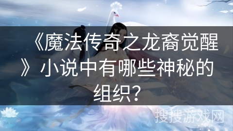《魔法传奇之龙裔觉醒》小说中有哪些神秘的组织？