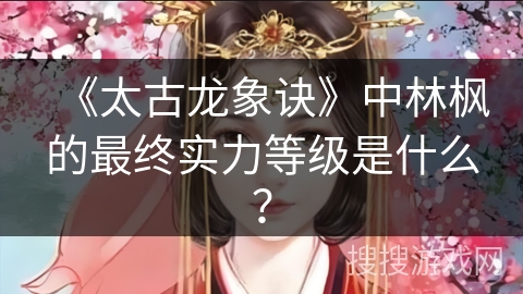 《太古龙象诀》中林枫的最终实力等级是什么？