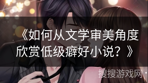 《如何从文学审美角度欣赏低级癖好小说？》