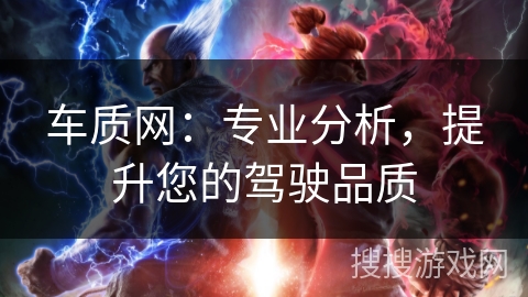 车质网：专业分析，提升您的驾驶品质