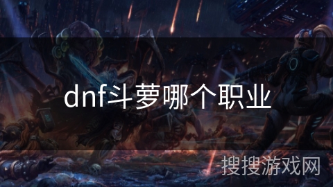 dnf斗萝哪个职业