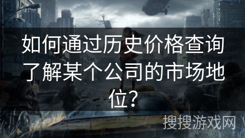 如何通过历史价格查询了解某个公司的市场地位？