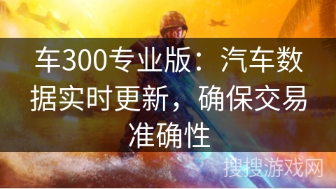 车300专业版：汽车数据实时更新，确保交易准确性