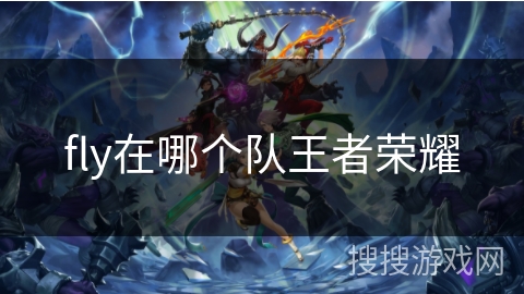 fly在哪个队王者荣耀