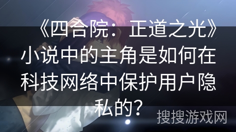 《四合院：正道之光》小说中的主角是如何在科技网络中保护用户隐私的？