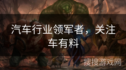 汽车行业领军者，关注车有料