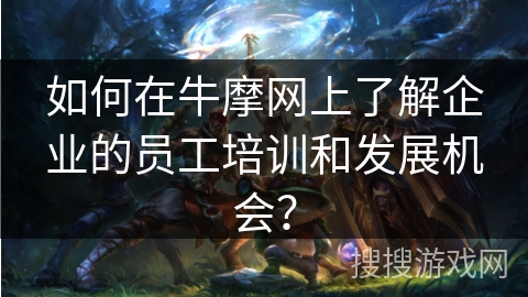如何在牛摩网上了解企业的员工培训和发展机会？