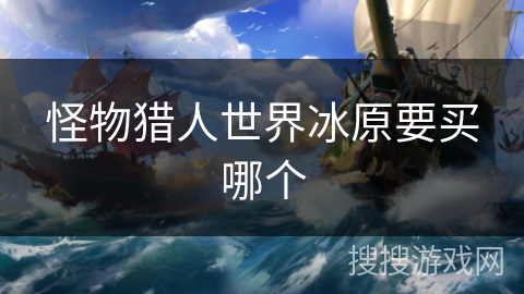 怪物猎人世界冰原要买哪个