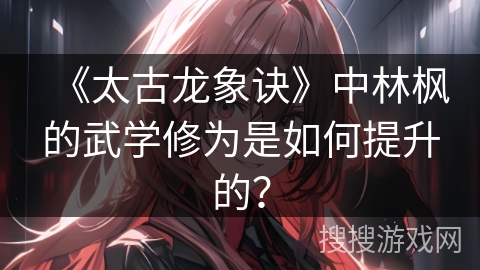 《太古龙象诀》中林枫的武学修为是如何提升的？