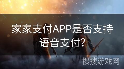 家家支付APP是否支持语音支付？