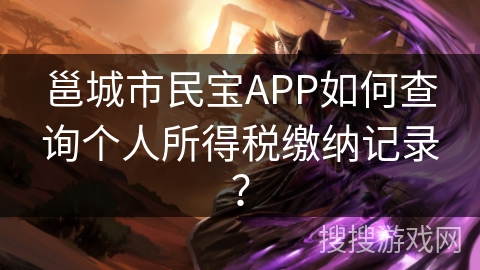 邕城市民宝APP如何查询个人所得税缴纳记录？