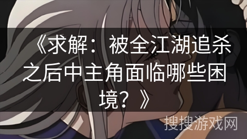 《求解：被全江湖追杀之后中主角面临哪些困境？》