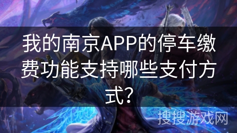我的南京APP的停车缴费功能支持哪些支付方式？