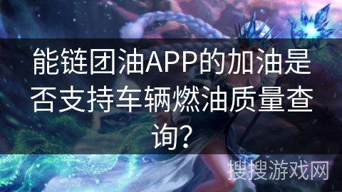 能链团油APP的加油是否支持车辆燃油质量查询？