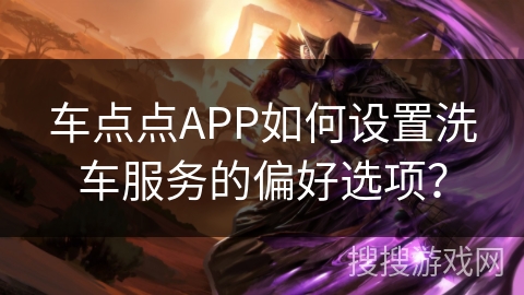 车点点APP如何设置洗车服务的偏好选项？