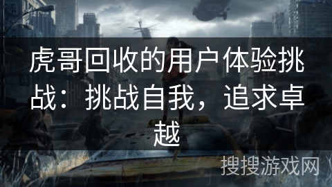虎哥回收的用户体验挑战：挑战自我，追求卓越