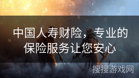 中国人寿财险，专业的保险服务让您安心