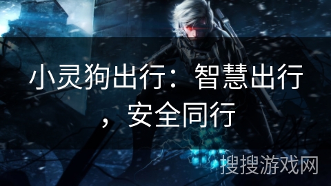 小灵狗出行：智慧出行，安全同行