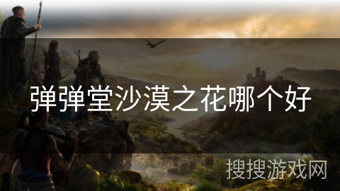 弹弹堂沙漠之花哪个好