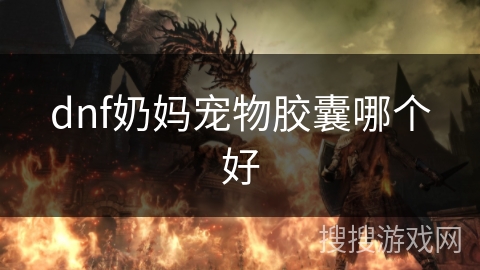 dnf奶妈宠物胶囊哪个好