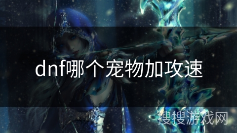dnf哪个宠物加攻速