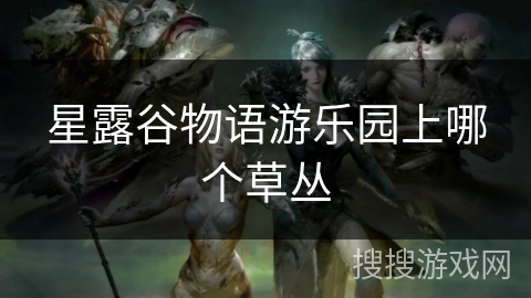 星露谷物语游乐园上哪个草丛