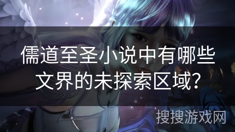 儒道至圣小说中有哪些文界的未探索区域？