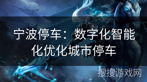 宁波停车：数字化智能化优化城市停车