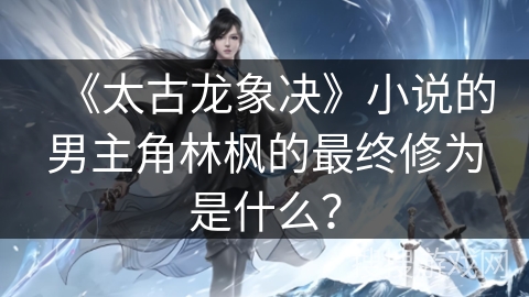 《太古龙象决》小说的男主角林枫的最终修为是什么？