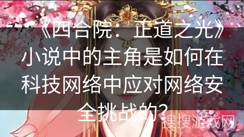 《四合院：正道之光》小说中的主角是如何在科技网络中应对网络安全挑战的？